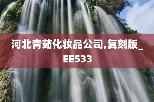 河北青茹化妆品公司,复刻版_EE533