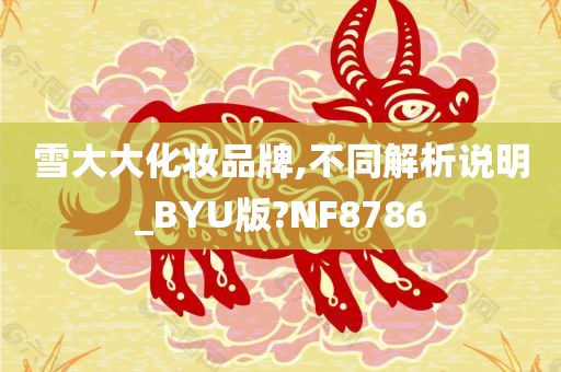 雪大大化妆品牌,不同解析说明_BYU版?NF8786