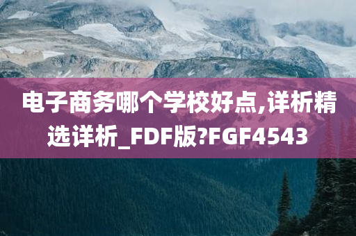 电子商务哪个学校好点,详析精选详析_FDF版?FGF4543