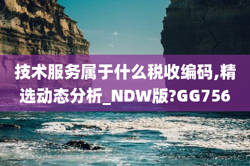 技术服务属于什么税收编码,精选动态分析_NDW版?GG756