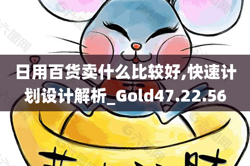 日用百货卖什么比较好,快速计划设计解析_Gold47.22.56