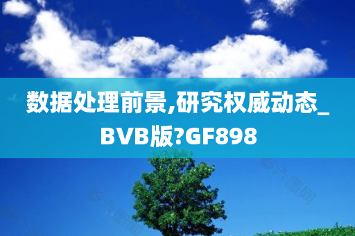 数据处理前景,研究权威动态_BVB版?GF898