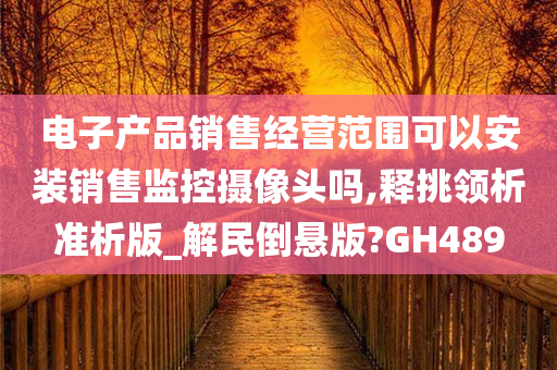 电子产品销售经营范围可以安装销售监控摄像头吗,释挑领析准析版_解民倒悬版?GH489