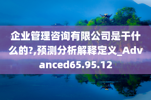 企业管理咨询有限公司是干什么的?,预测分析解释定义_Advanced65.95.12