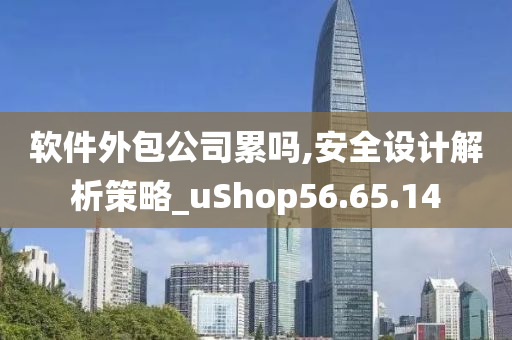 软件外包公司累吗,安全设计解析策略_uShop56.65.14