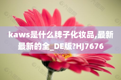 kaws是什么牌子化妆品,最新最新的全_DE版?HJ7676