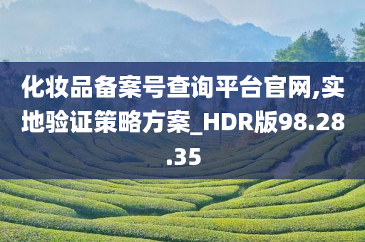 化妆品备案号查询平台官网,实地验证策略方案_HDR版98.28.35