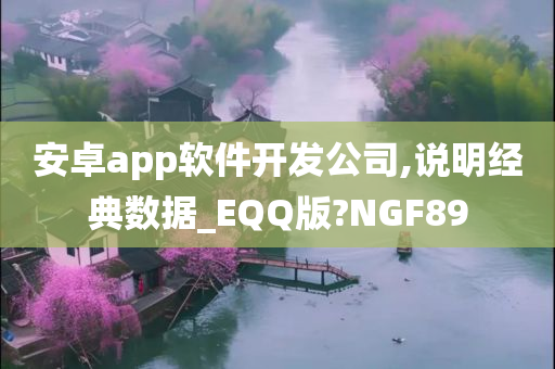 安卓app软件开发公司,说明经典数据_EQQ版?NGF89