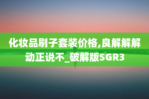 化妆品刷子套装价格,良解解解动正说不_破解版SGR3