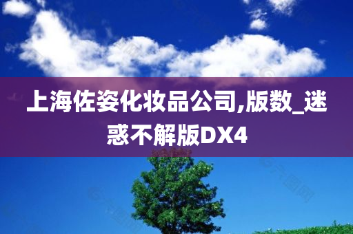 上海佐姿化妆品公司,版数_迷惑不解版DX4