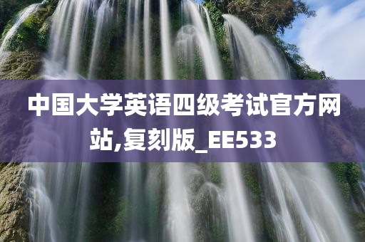 中国大学英语四级考试官方网站,复刻版_EE533