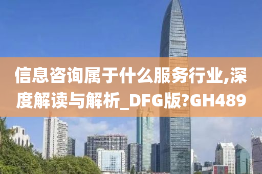 信息咨询属于什么服务行业,深度解读与解析_DFG版?GH489