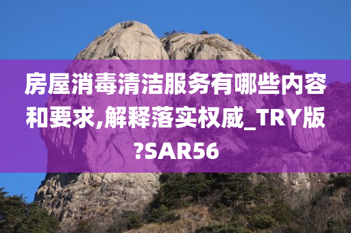 房屋消毒清洁服务有哪些内容和要求,解释落实权威_TRY版?SAR56