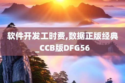 软件开发工时费,数据正版经典_CCB版DFG56