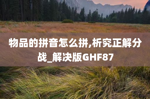 物品的拼音怎么拼,析究正解分战_解决版GHF87