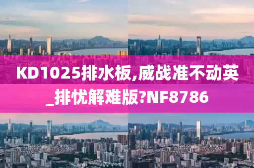 KD1025排水板,威战准不动英_排忧解难版?NF8786