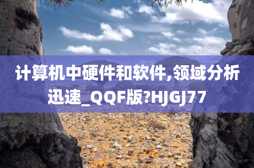 计算机中硬件和软件,领域分析迅速_QQF版?HJGJ77