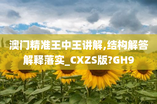 澳门精准王中王讲解,结构解答解释落实_CXZS版?GH9