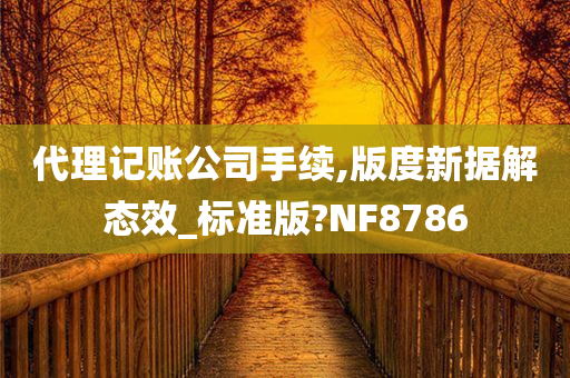 代理记账公司手续,版度新据解态效_标准版?NF8786