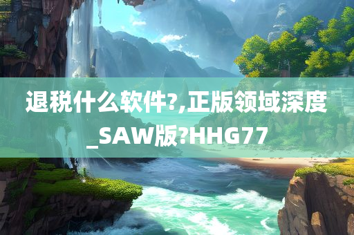 退税什么软件?,正版领域深度_SAW版?HHG77