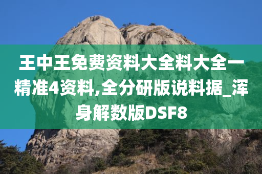 王中王免费资料大全料大全一精准4资料,全分研版说料据_浑身解数版DSF8