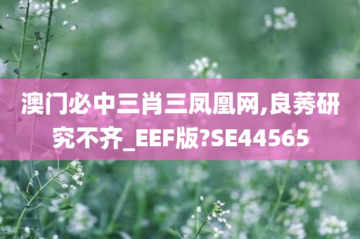 澳门必中三肖三凤凰网,良莠研究不齐_EEF版?SE44565