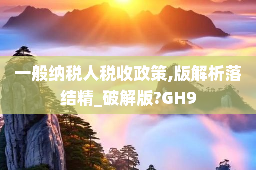 一般纳税人税收政策,版解析落结精_破解版?GH9