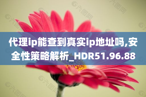 代理ip能查到真实ip地址吗,安全性策略解析_HDR51.96.88