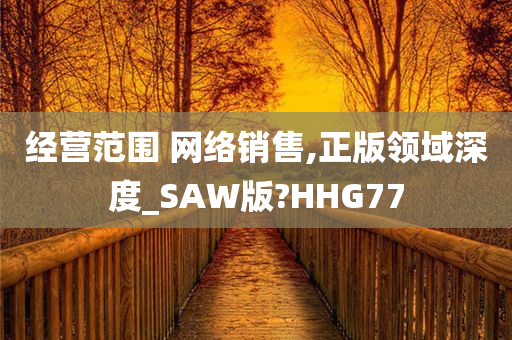 经营范围 网络销售,正版领域深度_SAW版?HHG77