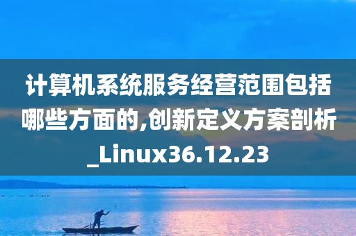 计算机系统服务经营范围包括哪些方面的,创新定义方案剖析_Linux36.12.23