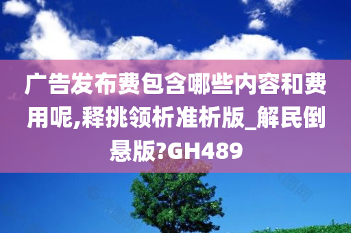 广告发布费包含哪些内容和费用呢,释挑领析准析版_解民倒悬版?GH489