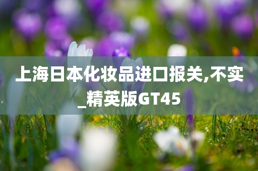 上海日本化妆品进口报关,不实_精英版GT45