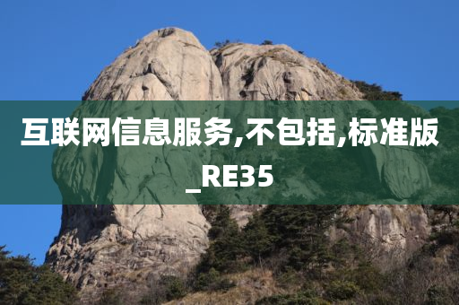 互联网信息服务,不包括,标准版_RE35