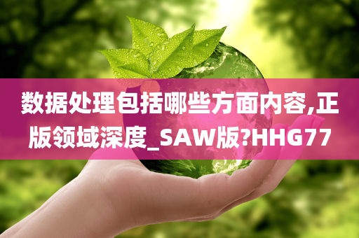 数据处理包括哪些方面内容,正版领域深度_SAW版?HHG77