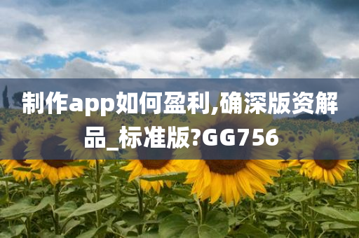 制作app如何盈利,确深版资解品_标准版?GG756