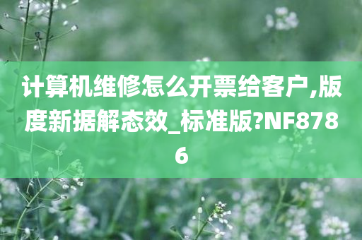 计算机维修怎么开票给客户,版度新据解态效_标准版?NF8786