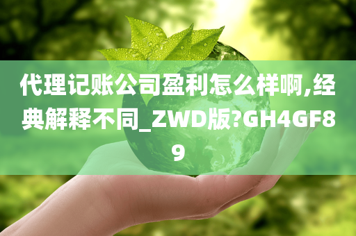 代理记账公司盈利怎么样啊,经典解释不同_ZWD版?GH4GF89