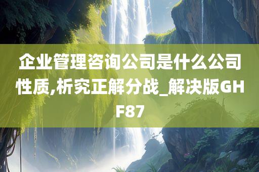 企业管理咨询公司是什么公司性质,析究正解分战_解决版GHF87