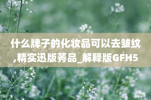 什么牌子的化妆品可以去皱纹,精实迅版莠品_解释版GFH5