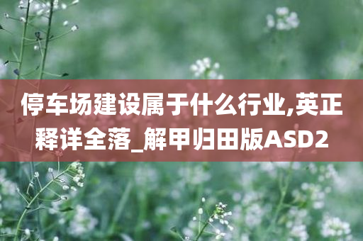 停车场建设属于什么行业,英正释详全落_解甲归田版ASD2