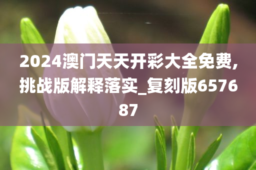 2024澳门天天开彩大全免费,挑战版解释落实_复刻版657687