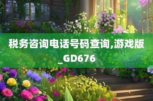 税务咨询电话号码查询,游戏版_GD676