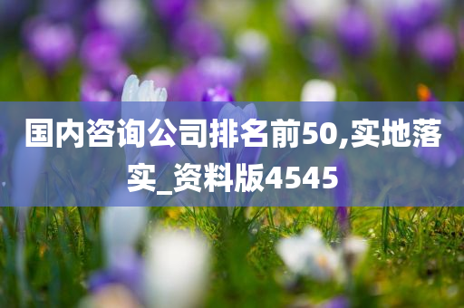 国内咨询公司排名前50,实地落实_资料版4545