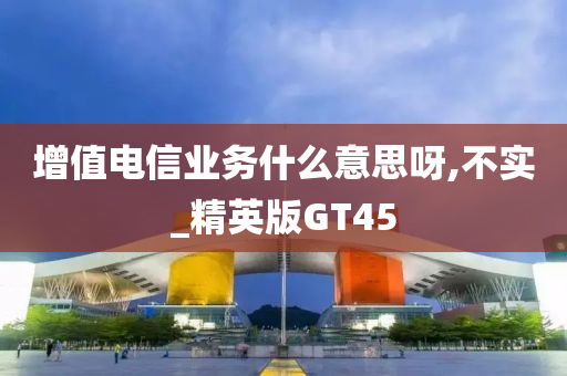 增值电信业务什么意思呀,不实_精英版GT45