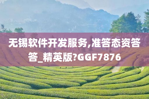 无锡软件开发服务,准答态资答答_精英版?GGF7876