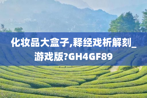 化妆品大盒子,释经戏析解刻_游戏版?GH4GF89