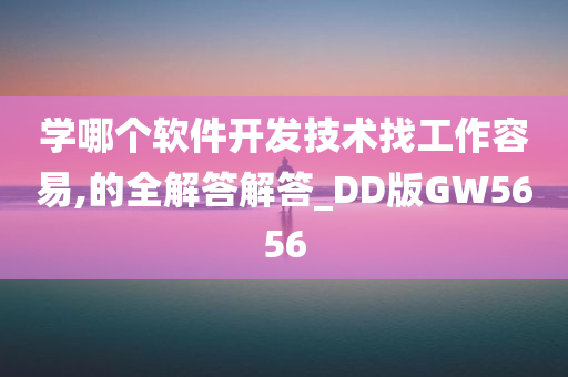 学哪个软件开发技术找工作容易,的全解答解答_DD版GW5656