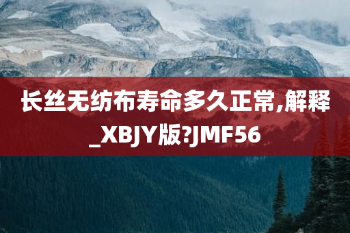 长丝无纺布寿命多久正常,解释_XBJY版?JMF56