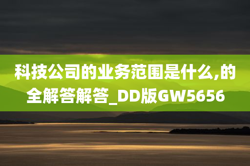 科技公司的业务范围是什么,的全解答解答_DD版GW5656