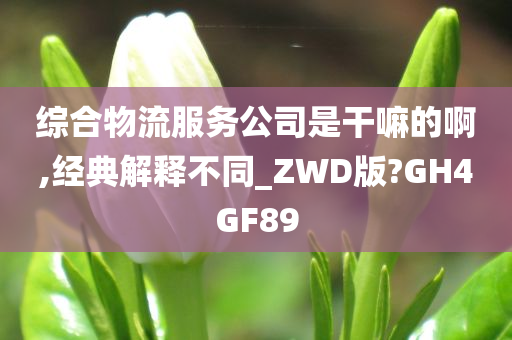 综合物流服务公司是干嘛的啊,经典解释不同_ZWD版?GH4GF89